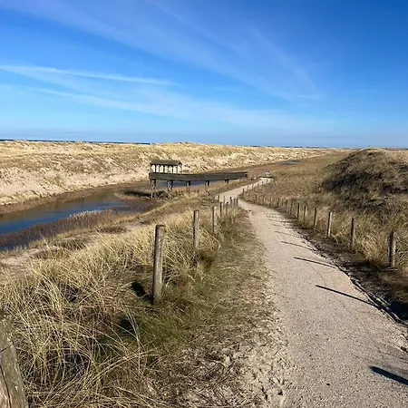 Campsite Lutafaro Near Petten