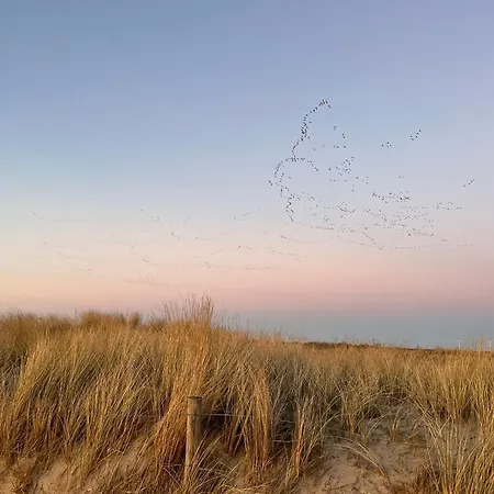 캠프장 Lutafaro Near *