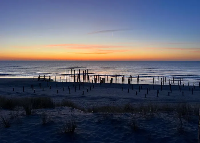 Lutafaro Near * 페턴